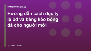 Read more about the article Hướng dẫn cách đọc tỷ lệ bd và bảng kèo bóng đá cho người mới