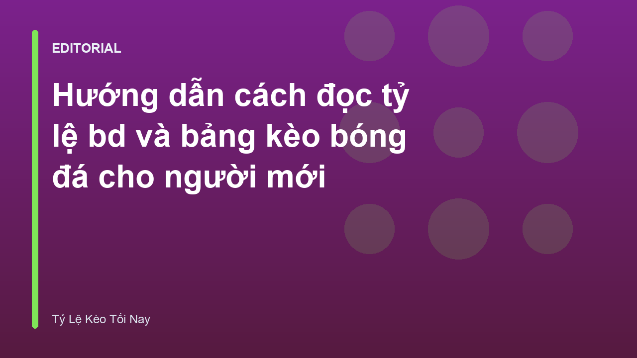 Hướng dẫn cách đọc tỷ lệ bd cho người mới bắt đầu